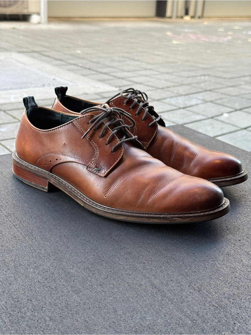 Rodd & Gunn Portland Derby Shoe, men’s 9.5