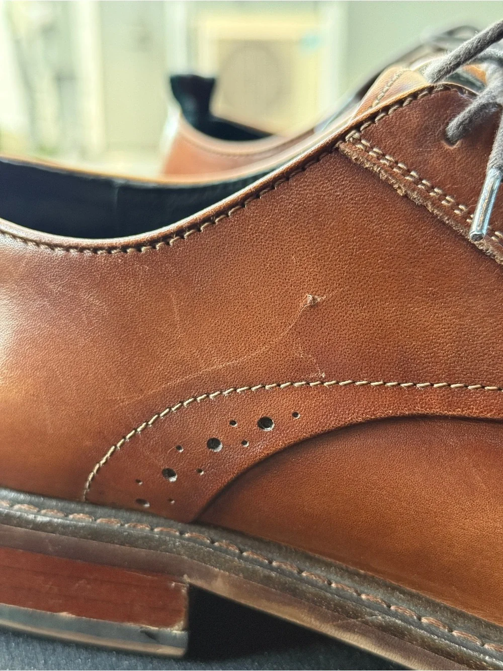 Rodd & Gunn Portland Derby Shoe, men’s 9.5