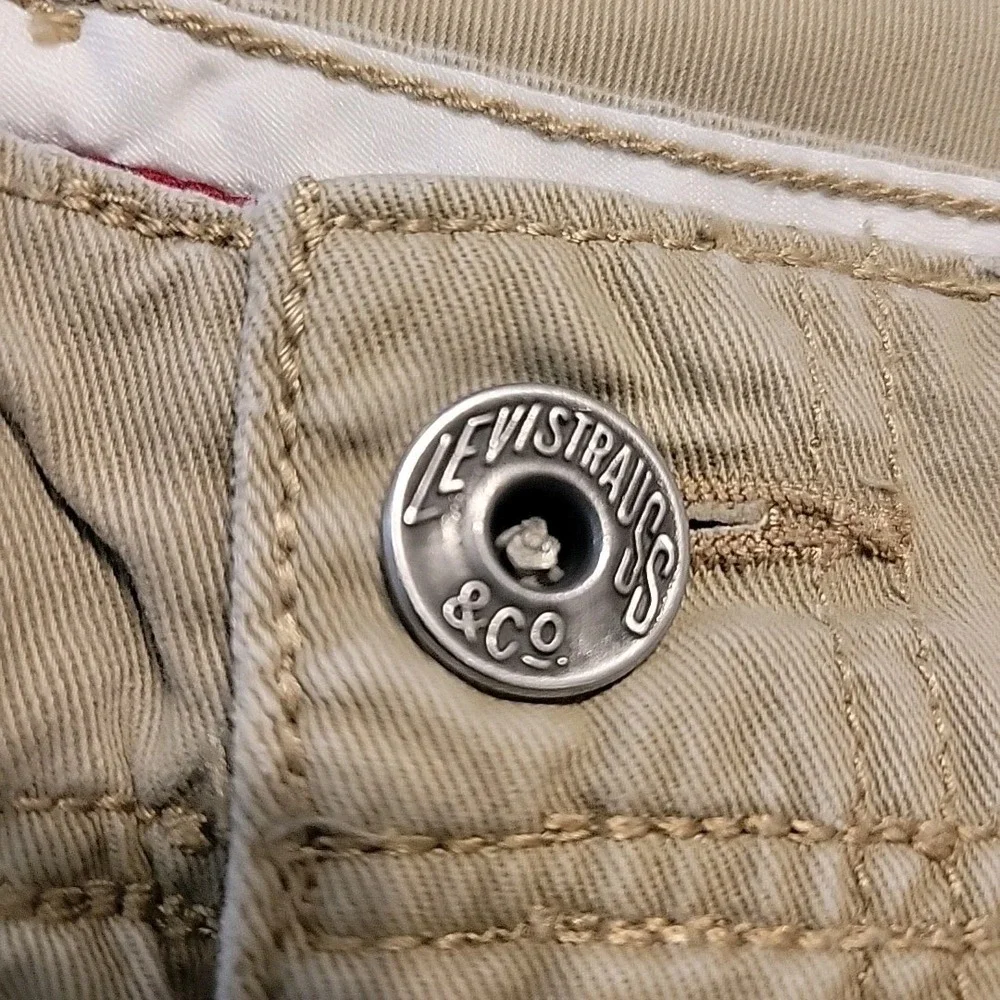 Levis levi cargo