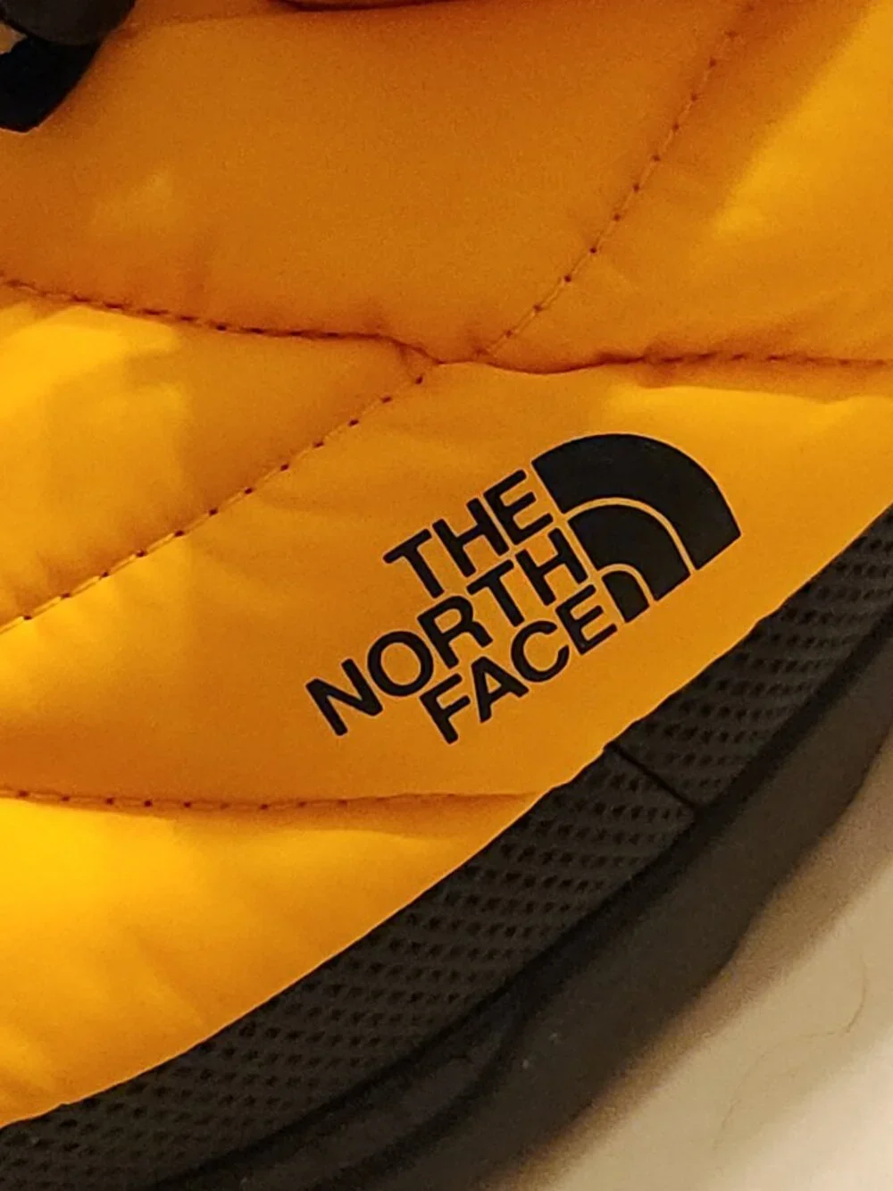 The North Face new no