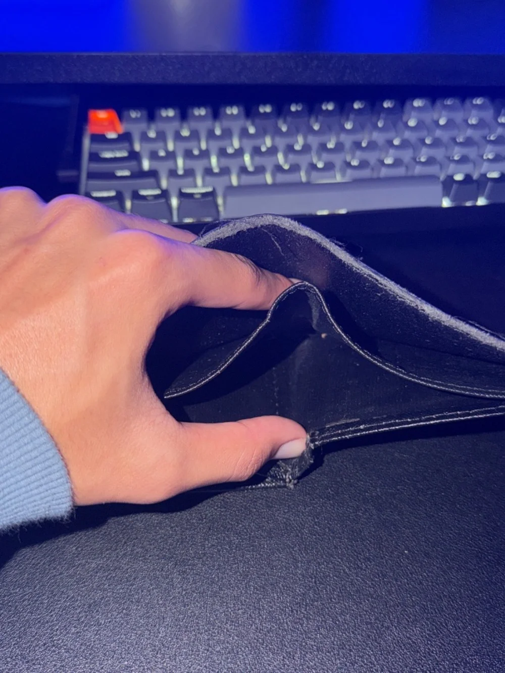 Louis vuttion wallet