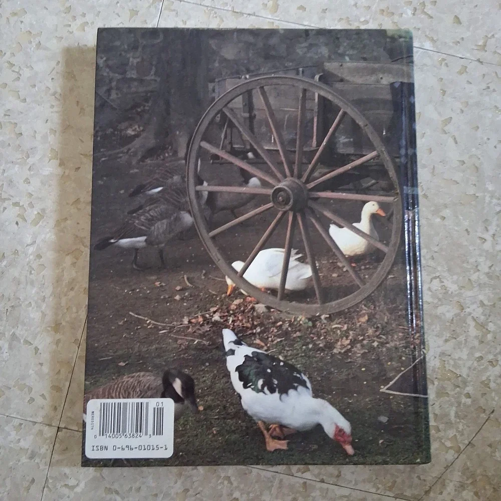 Better Homes and Gardens American Patchwork Quilting Book Vintage