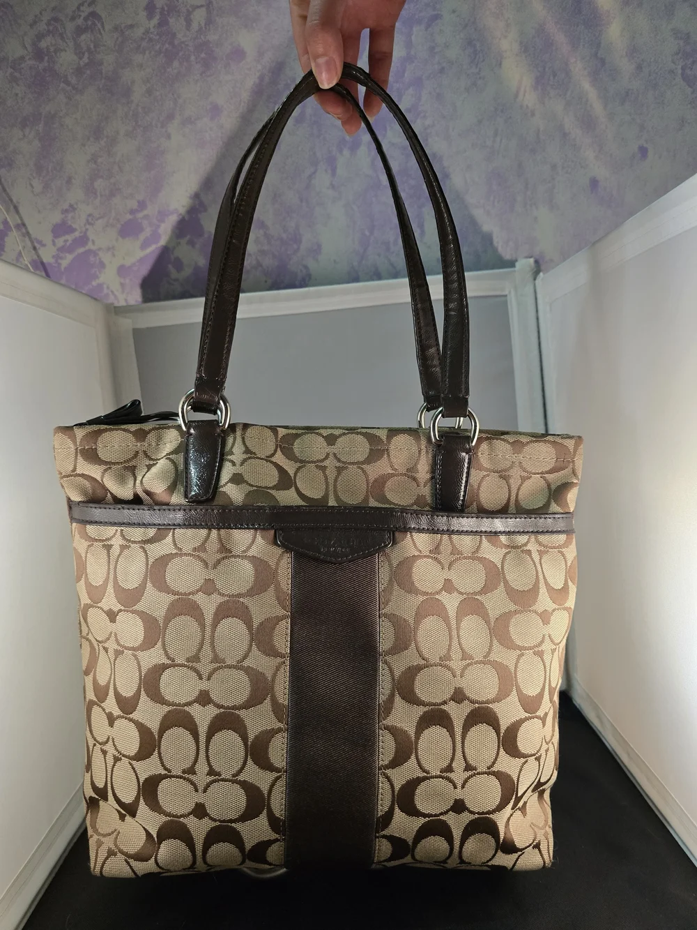 Coach classic signature