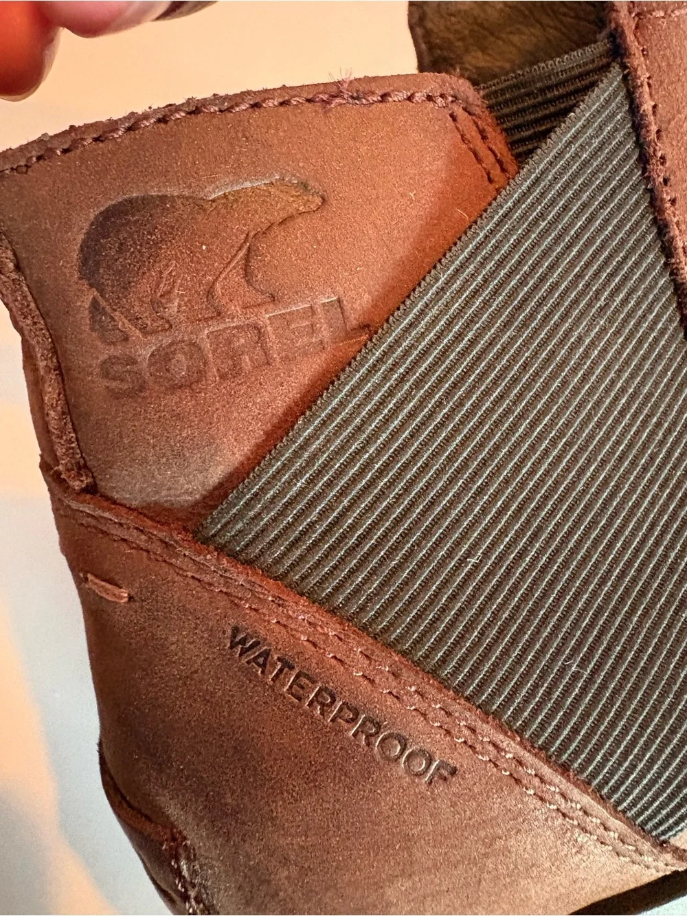 Sorel elastic color timeless