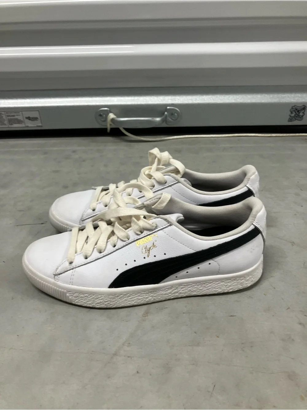 Puma great white