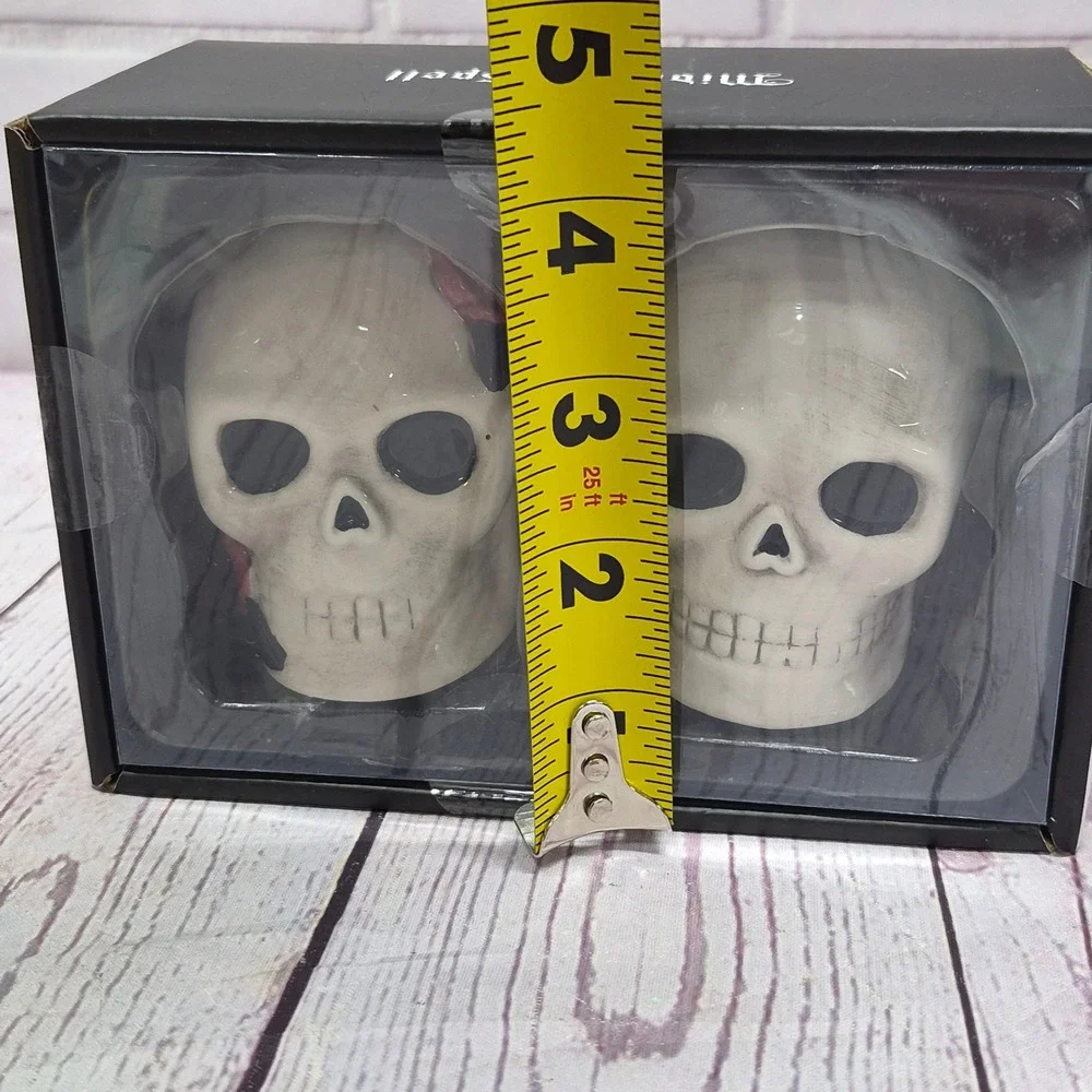 Midnight Spell Skull Salt and Pepper Shaker Set Ceramic Gothic Halloween Decor
