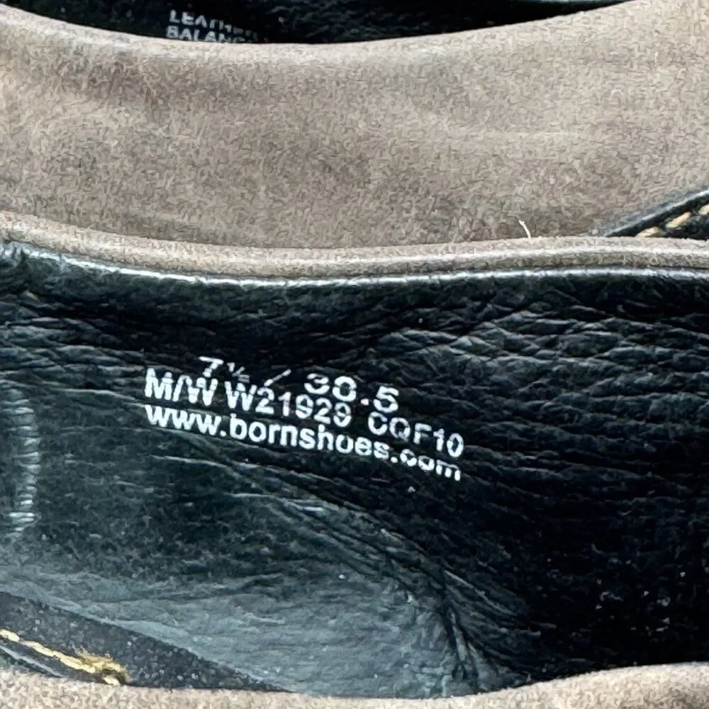 Born elevate your