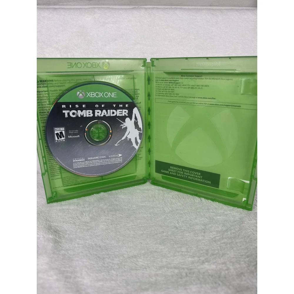 Microsoft rise tomb