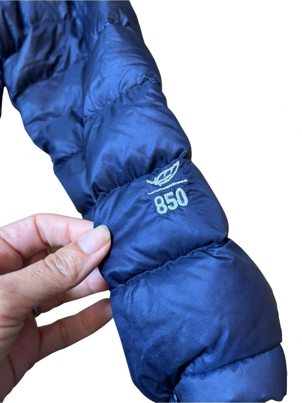 L.L. Bean euc just