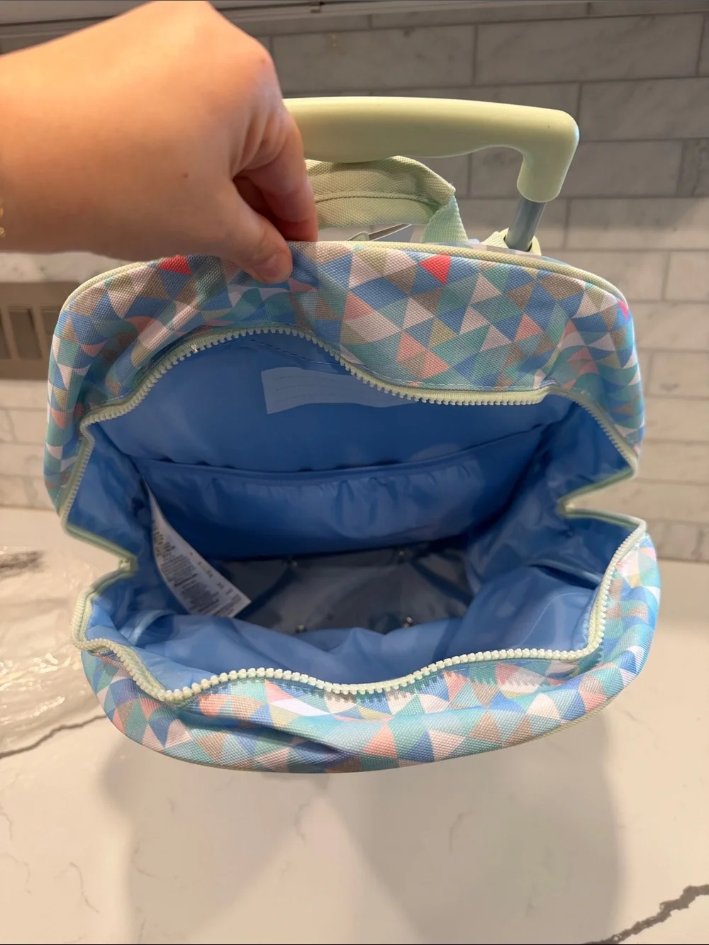 Frozen rolling backpack