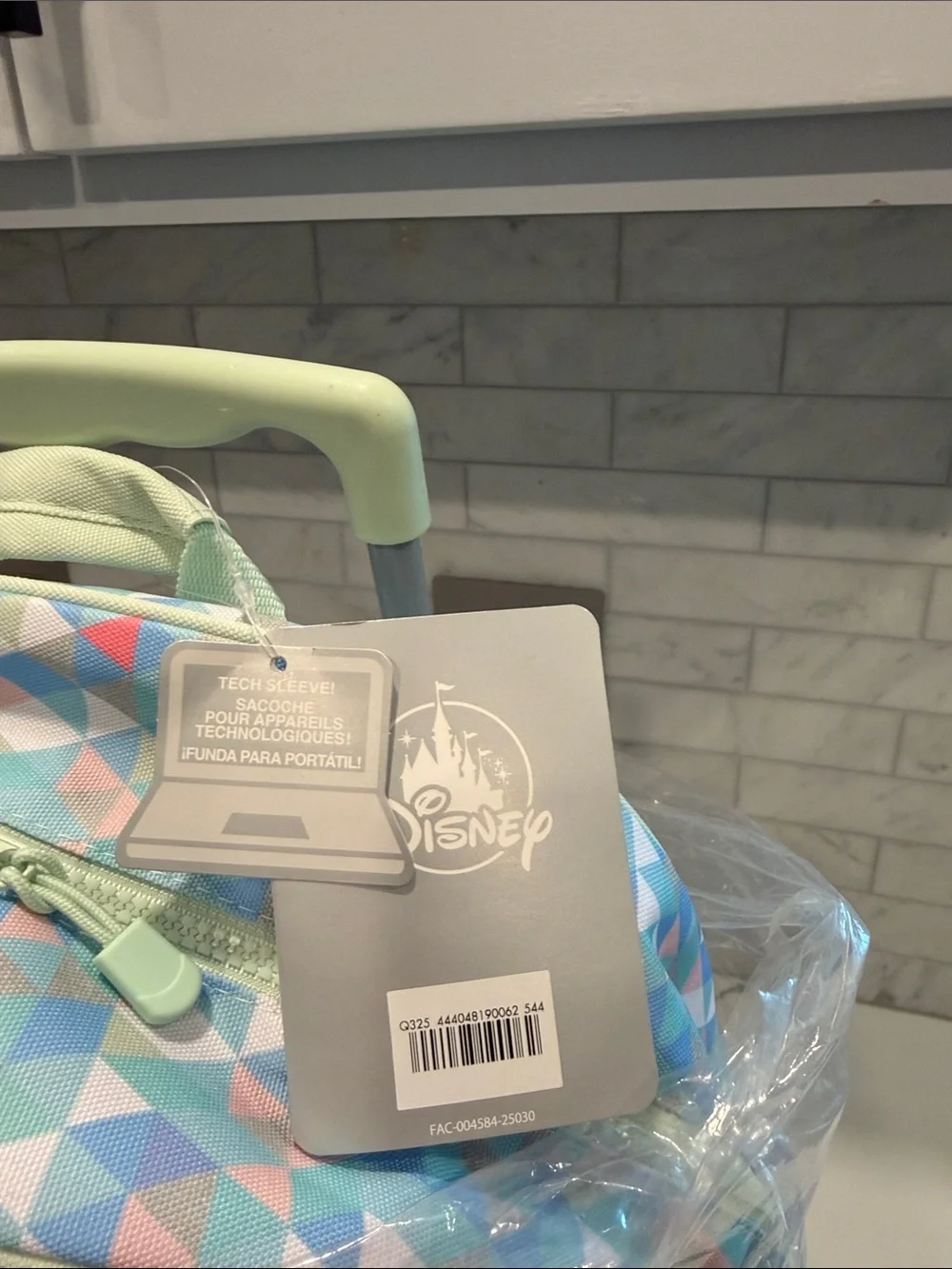 Frozen rolling backpack