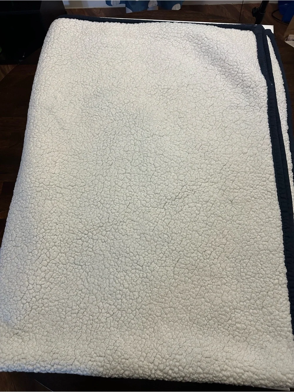 UGG cozy sherpa