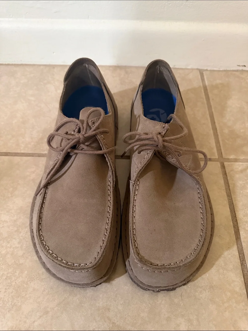 Birkenstock never worn