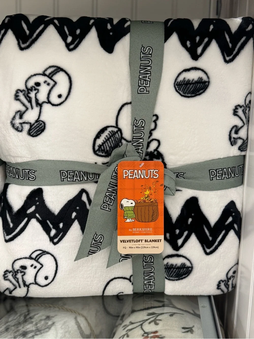 Peanuts Snoopy Black & White Velvety Throw Blanket
