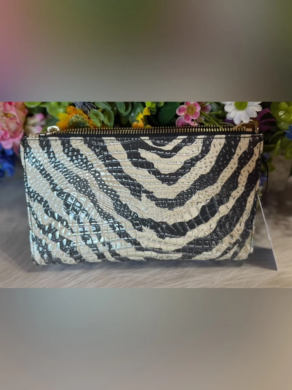 PERFECT EYE HTF BRAHMIN DAISY DASHING ZEBRA MELBOURNE same as EVERLASTING ENCOUR