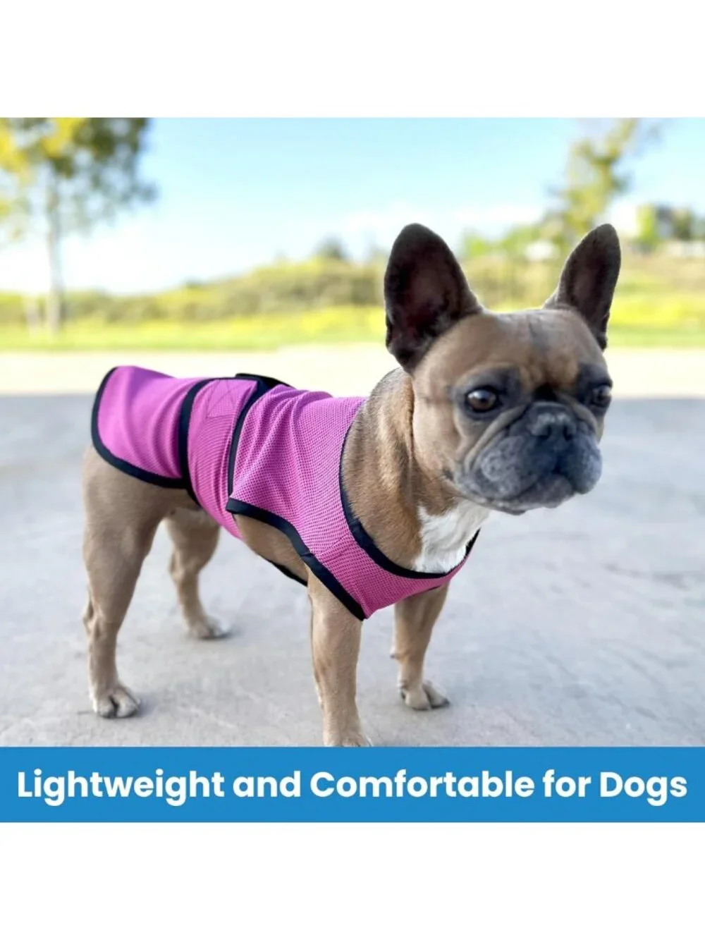 Lightweight Dog Cooling Vest, Rose Pink XS, Breathable & Quick-Dry Pet Shirt