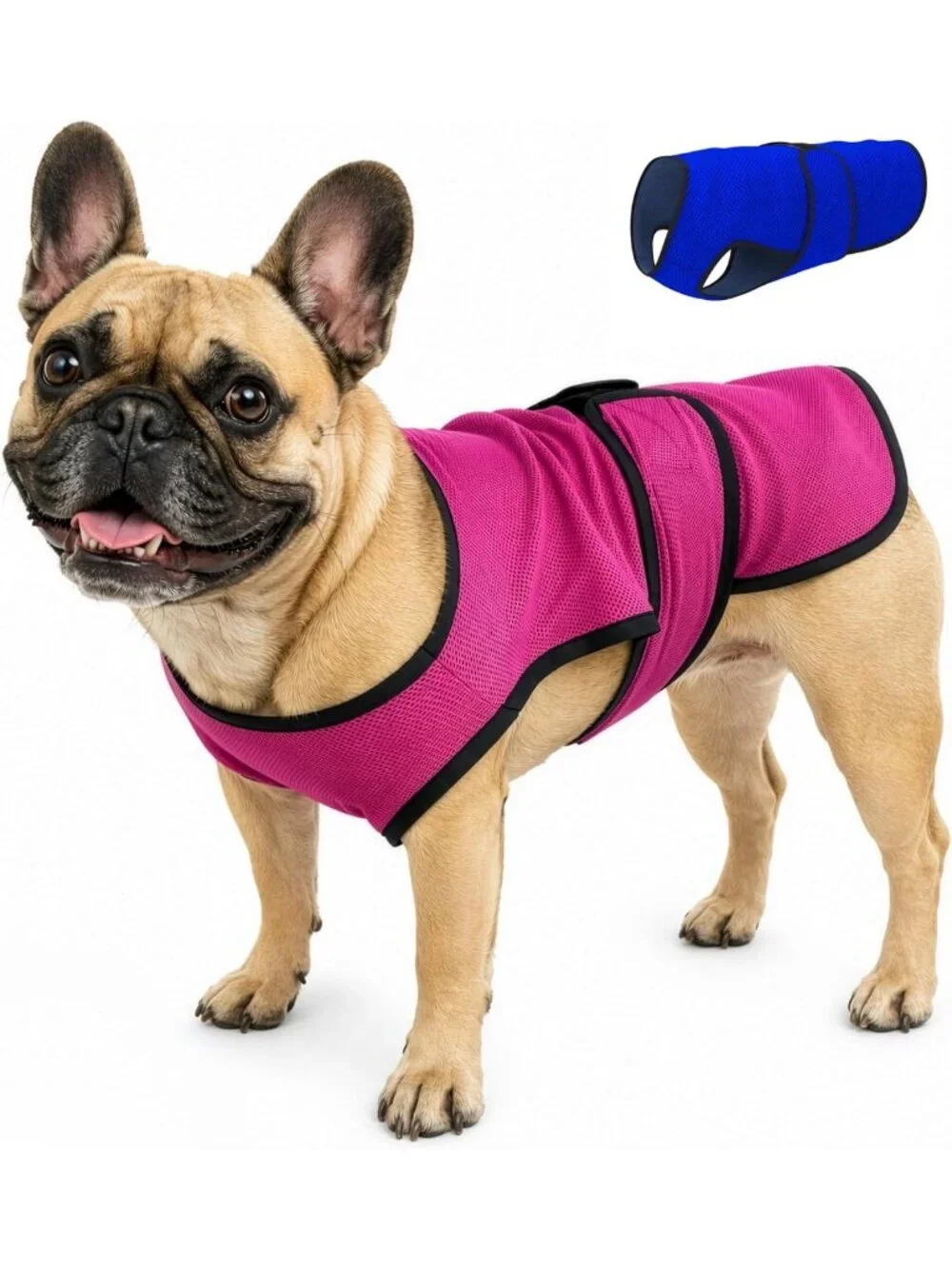 Lightweight Dog Cooling Vest, Rose Pink XS, Breathable & Quick-Dry Pet Shirt