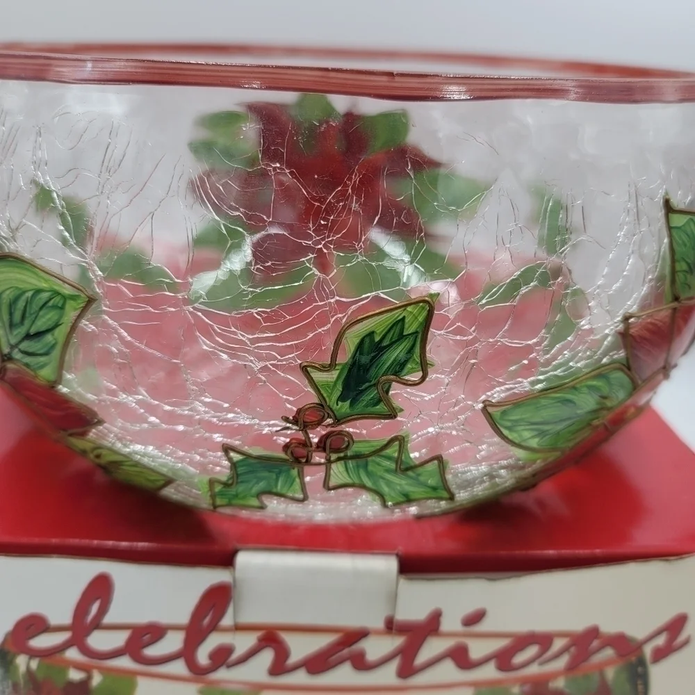 Celebration pointsettia mouthbkown