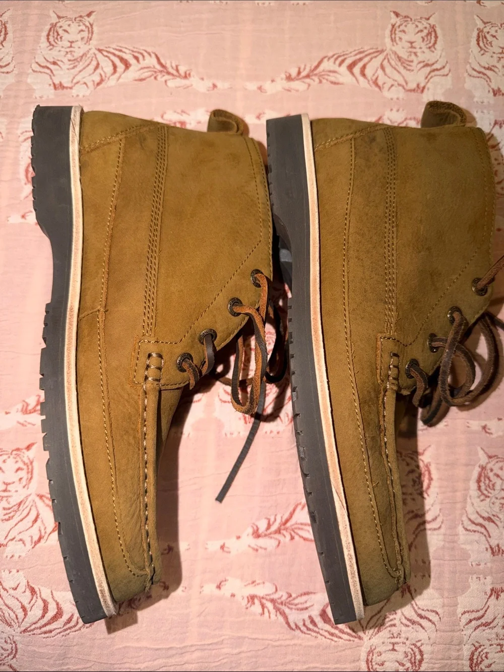 Sperry chukka day
