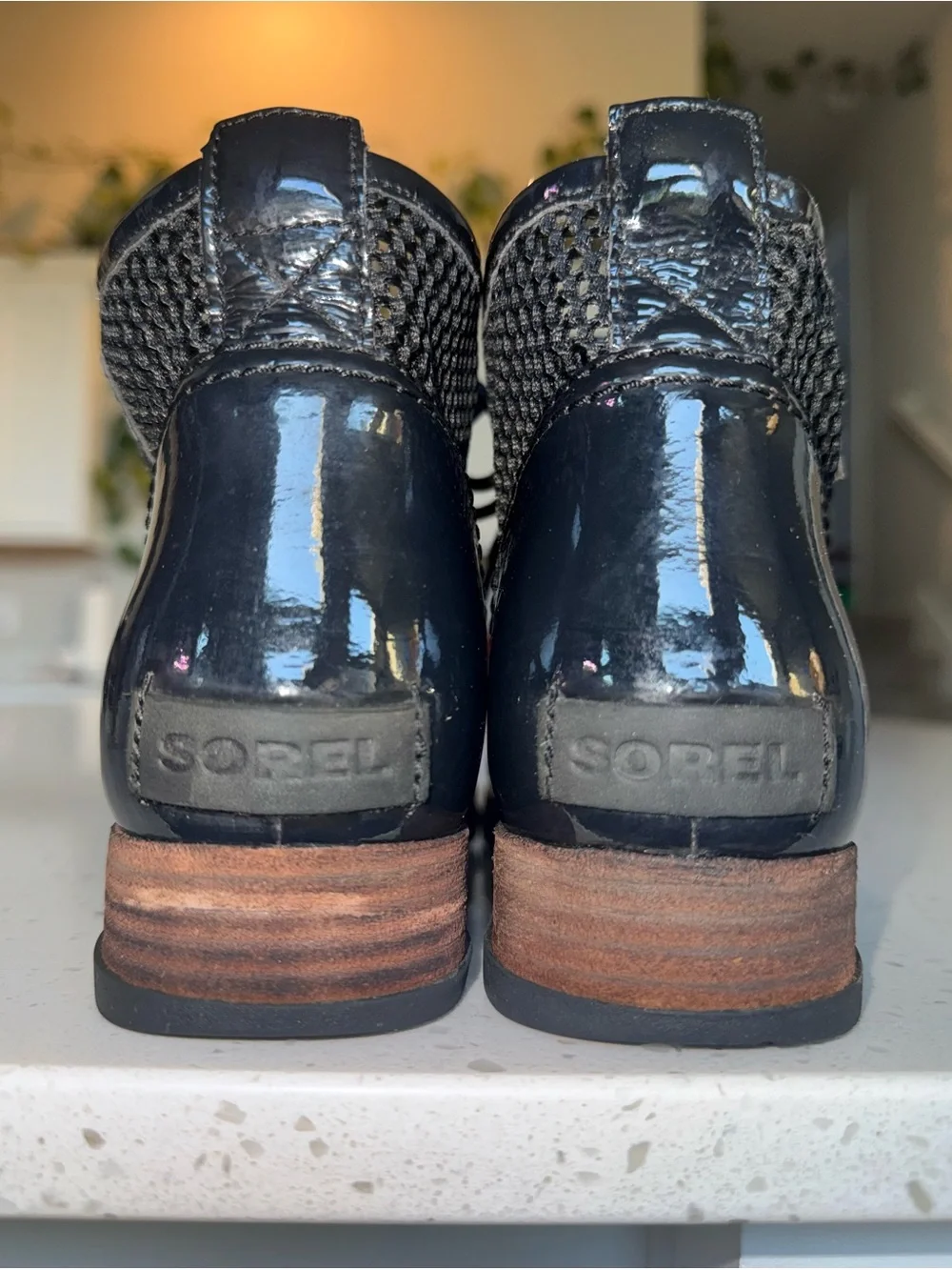 Sorel stylish chukka