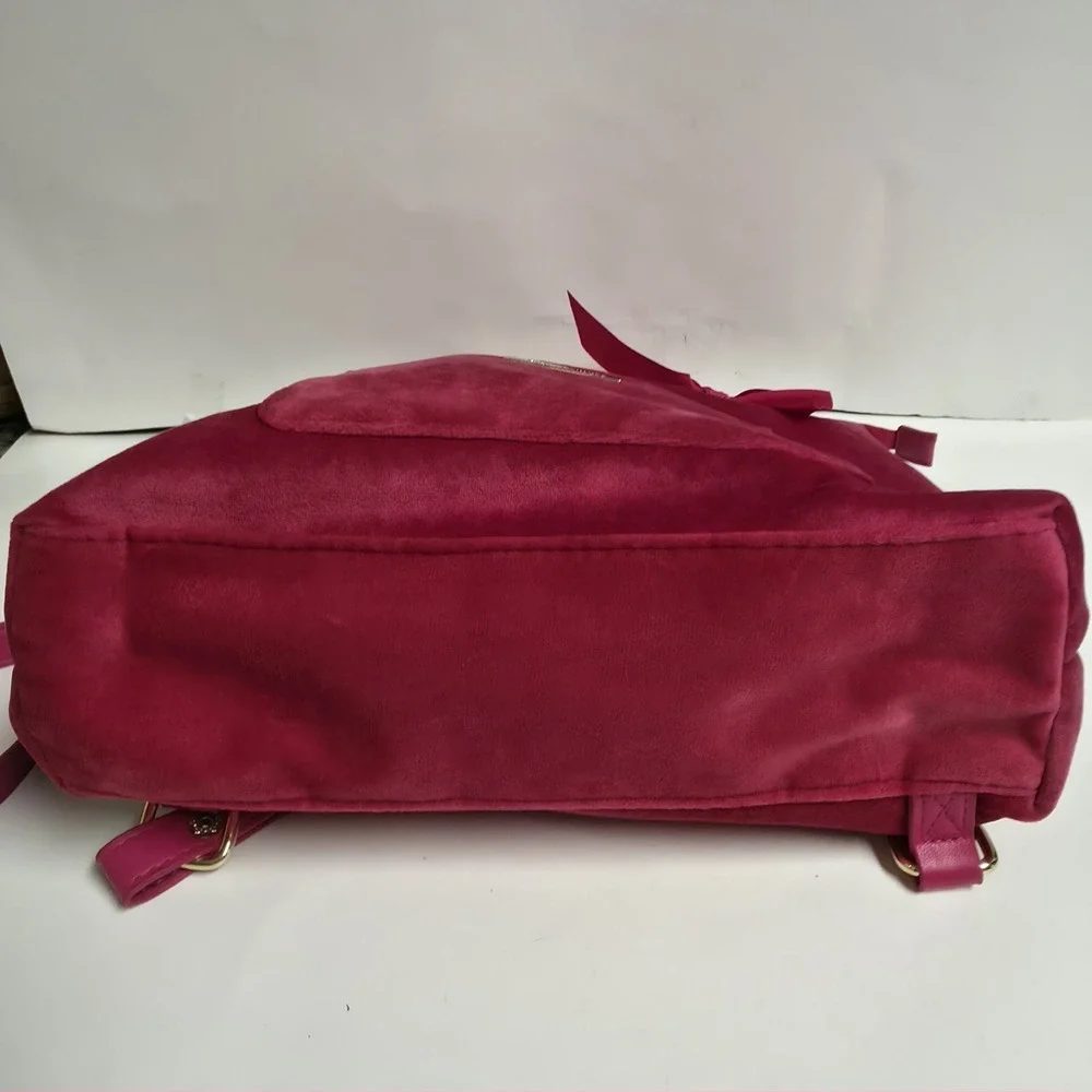 Juicy Couture this bag