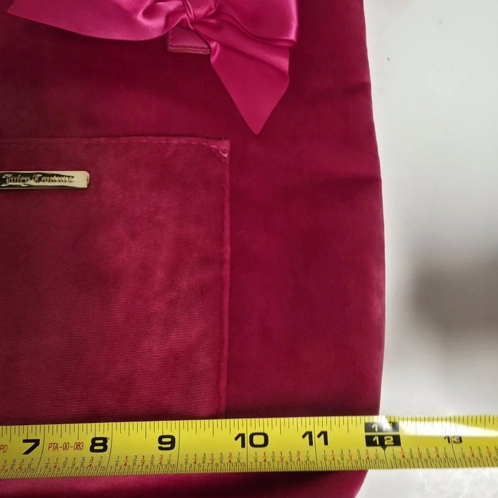 Juicy Couture this bag