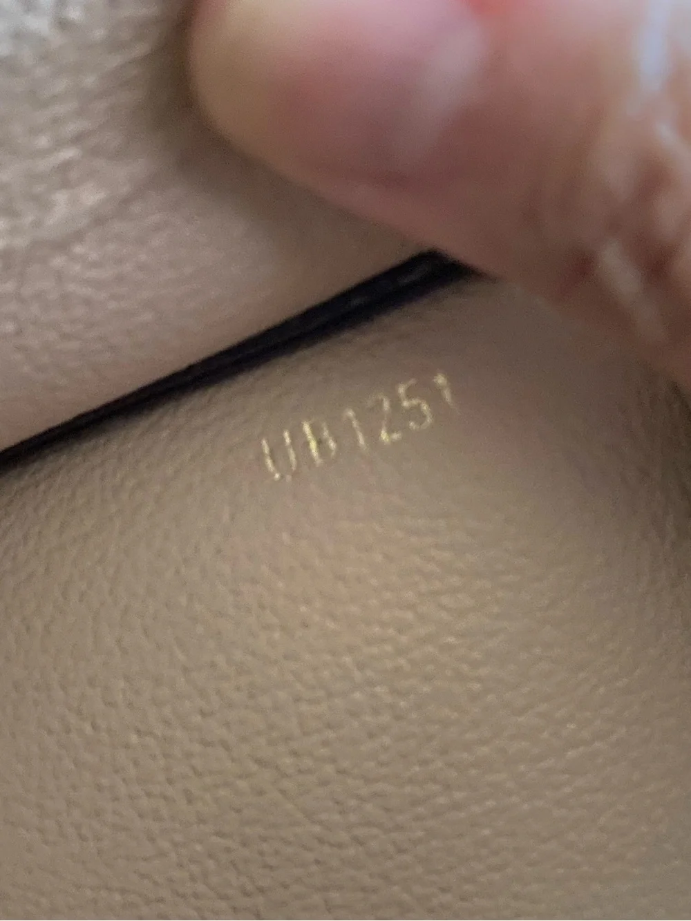 Louis Vuitton toiletry 26