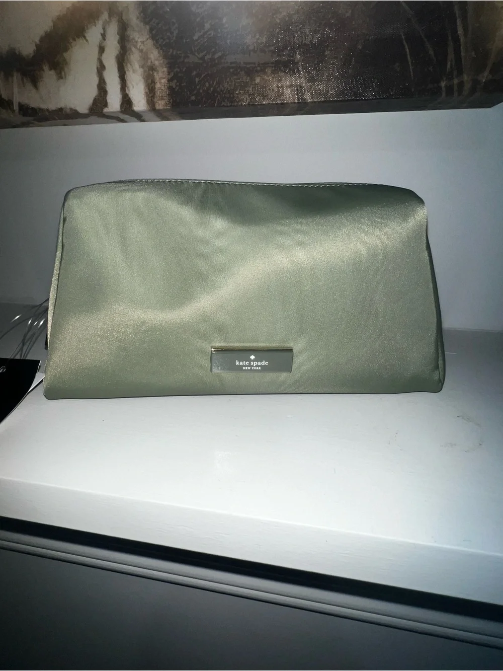 NWT Kate Spade Carter Nylon Cosmetic Pouch in Cedar Stand Green