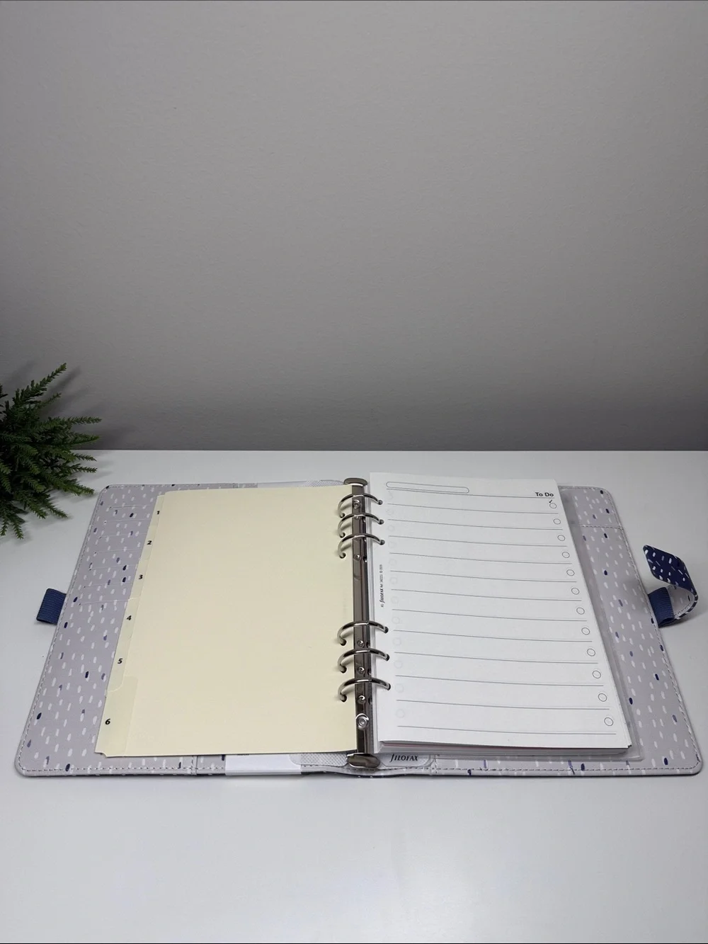 filoFAX details expressions