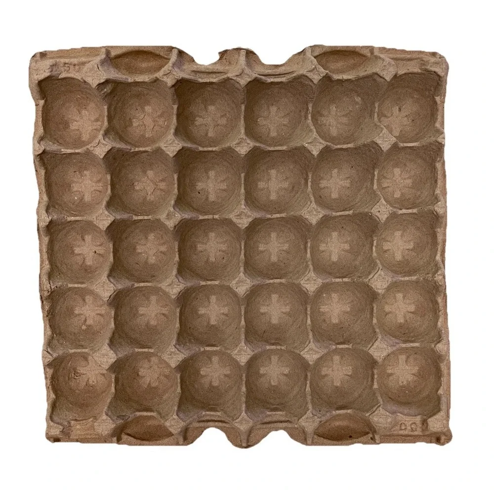30-Count Biodegradable Pulp Fiber Egg Flat Cartons‎ - 20 Pack - Used & Clean