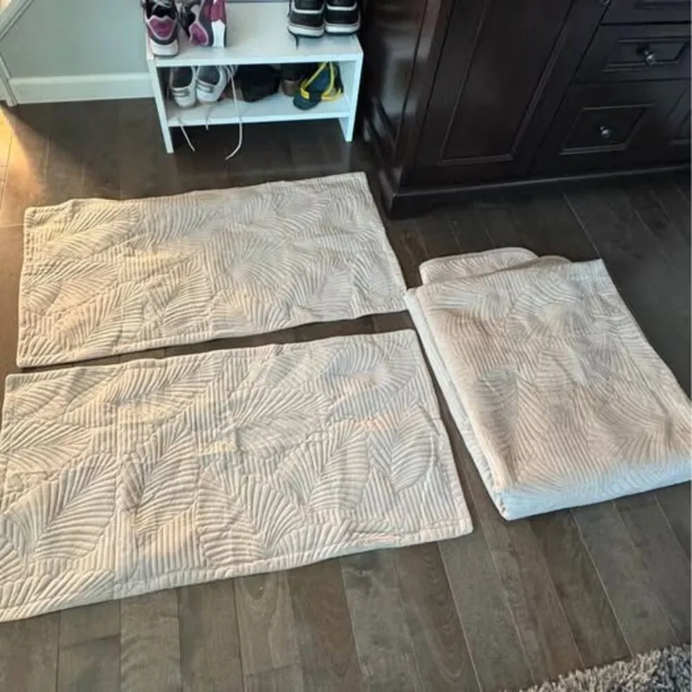 Queen comforter and large two pillowcases