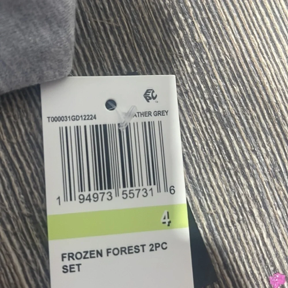 Disney pc frozen