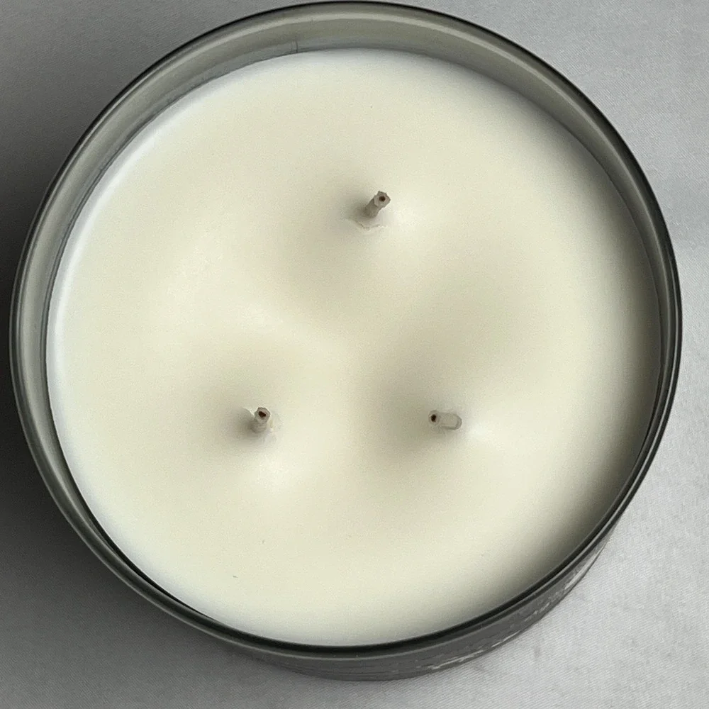 Bath & Body Works pair wick