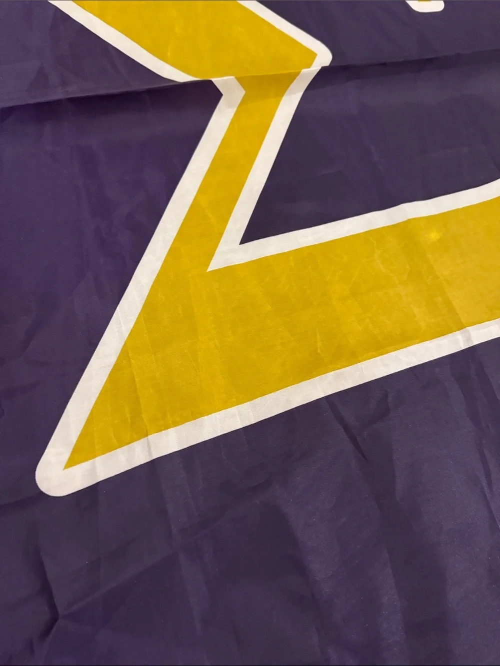 Sigma Alpha Epsilon vibrant purple