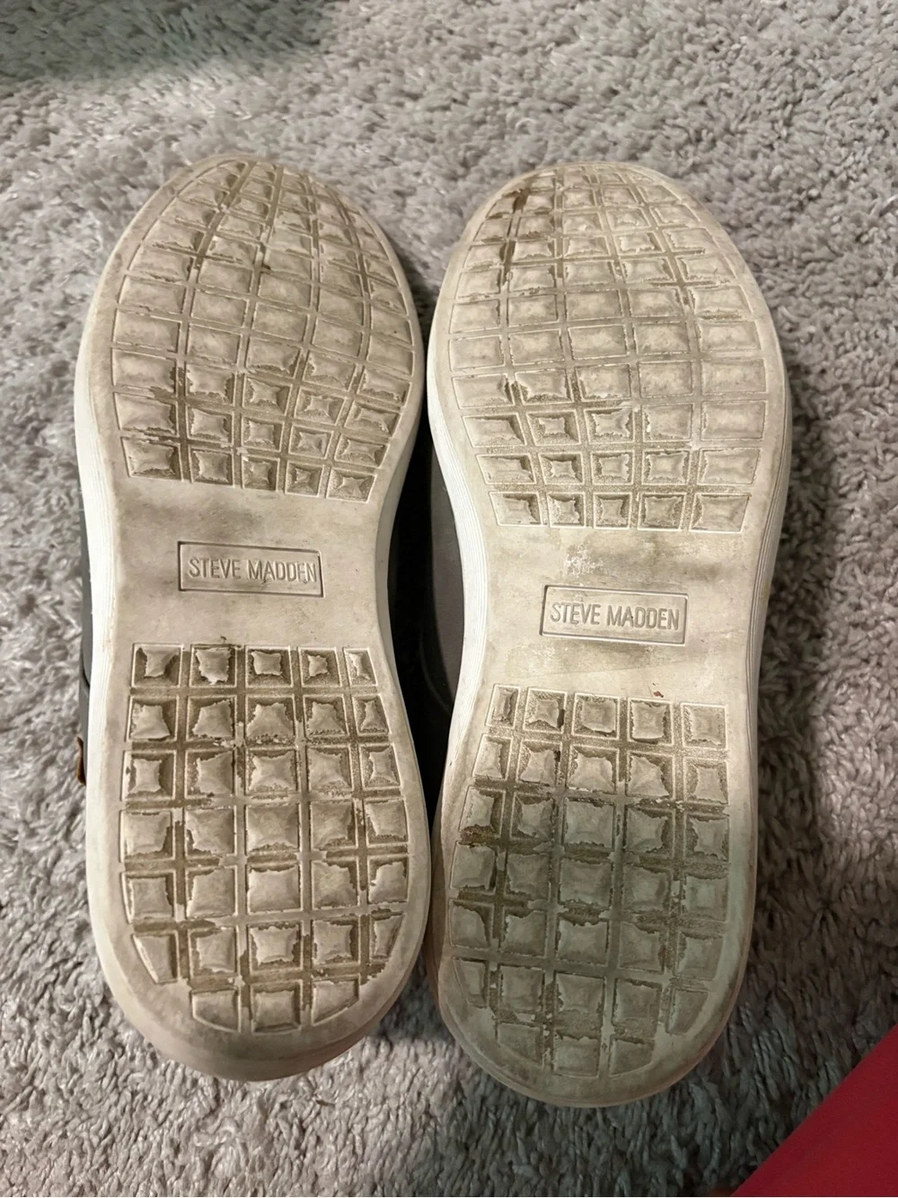 Steve Madden  Sneakers in Gray