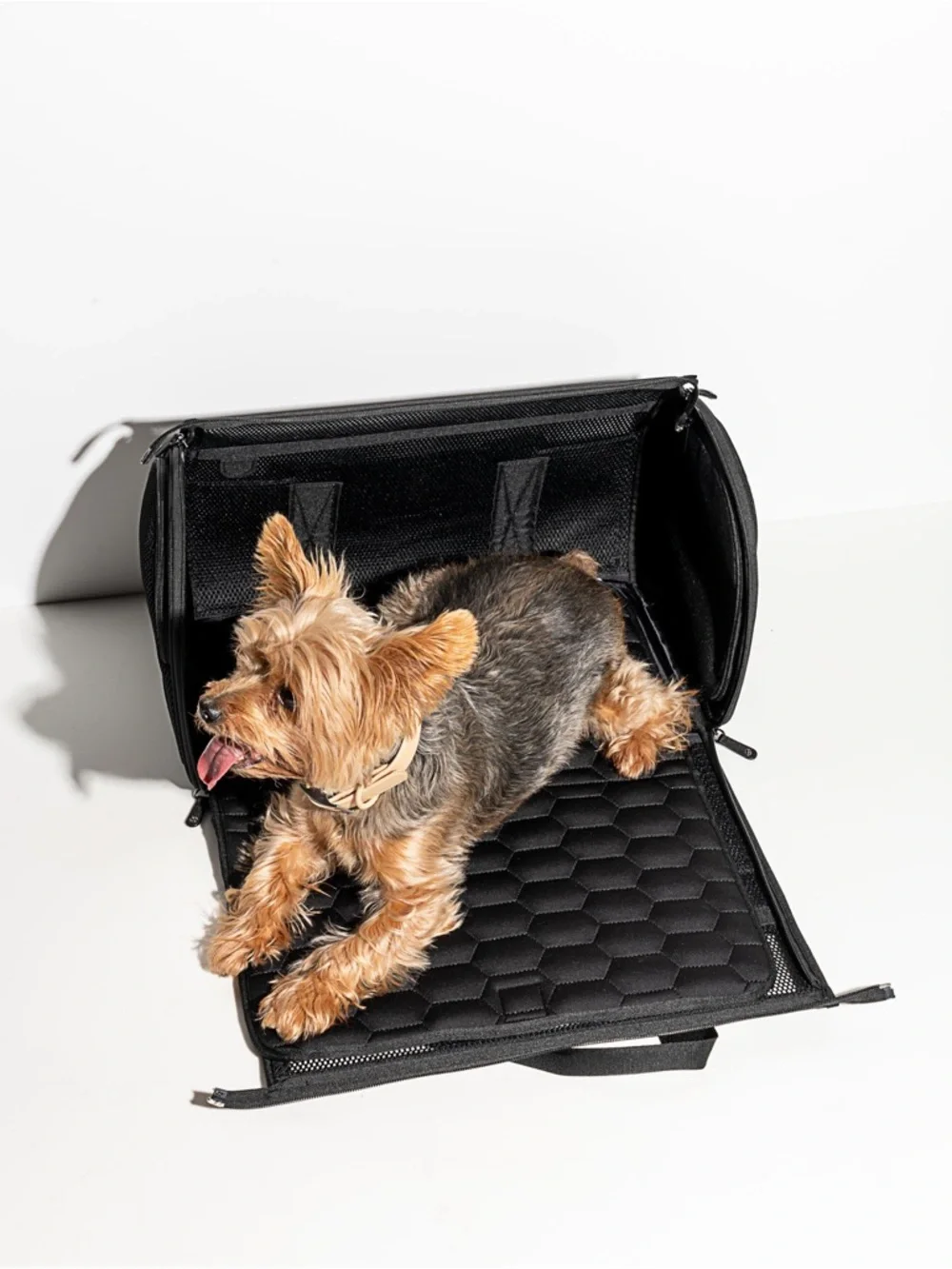 Wild One Black Pet Travel Carrier - Portable Dog Carrier