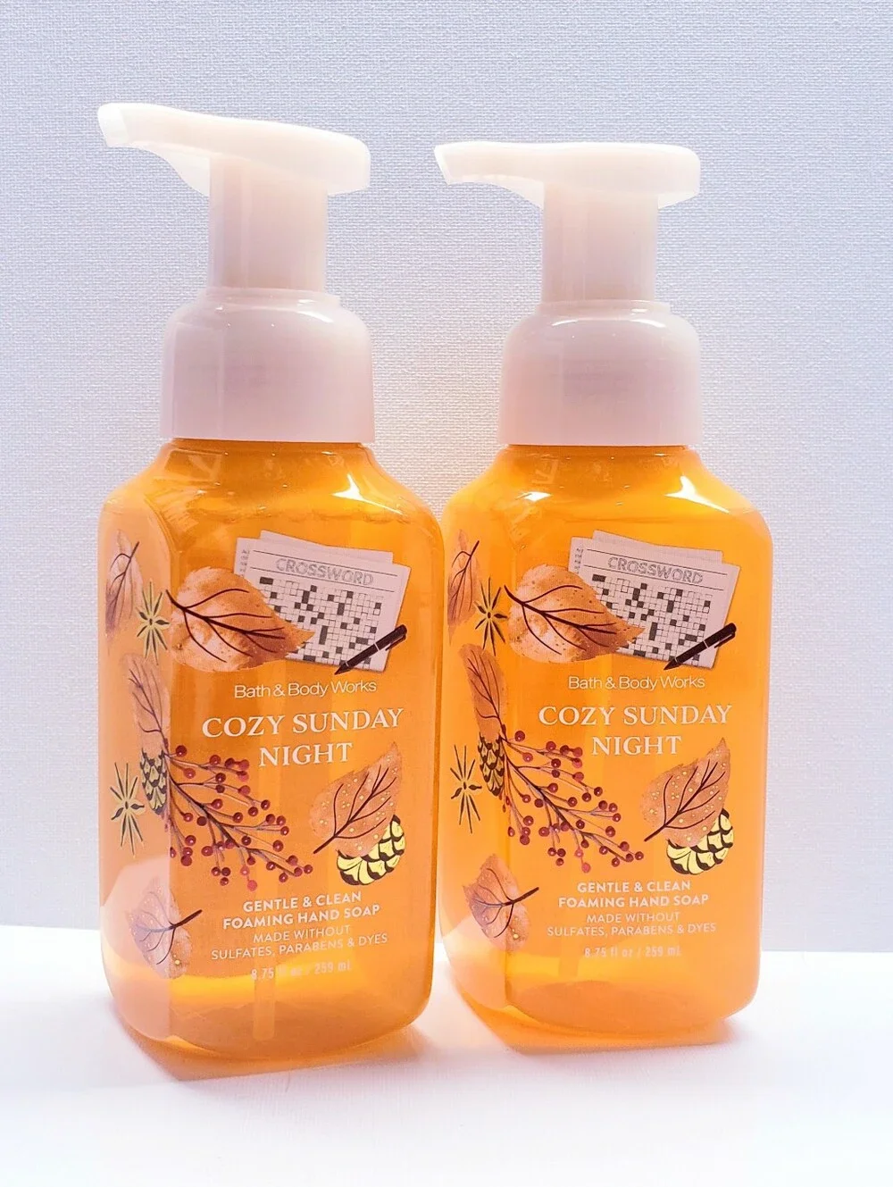 Bath & Body Works COZY SUNDAY NIGHT Gentle & Clean Foaming Hand Soap (2 Pcs)