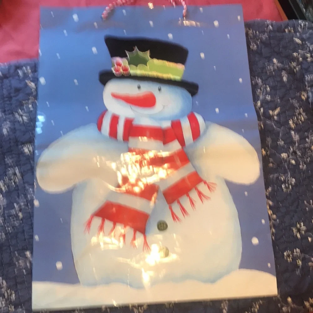 Bags Bundle of Christmas Gift Bags