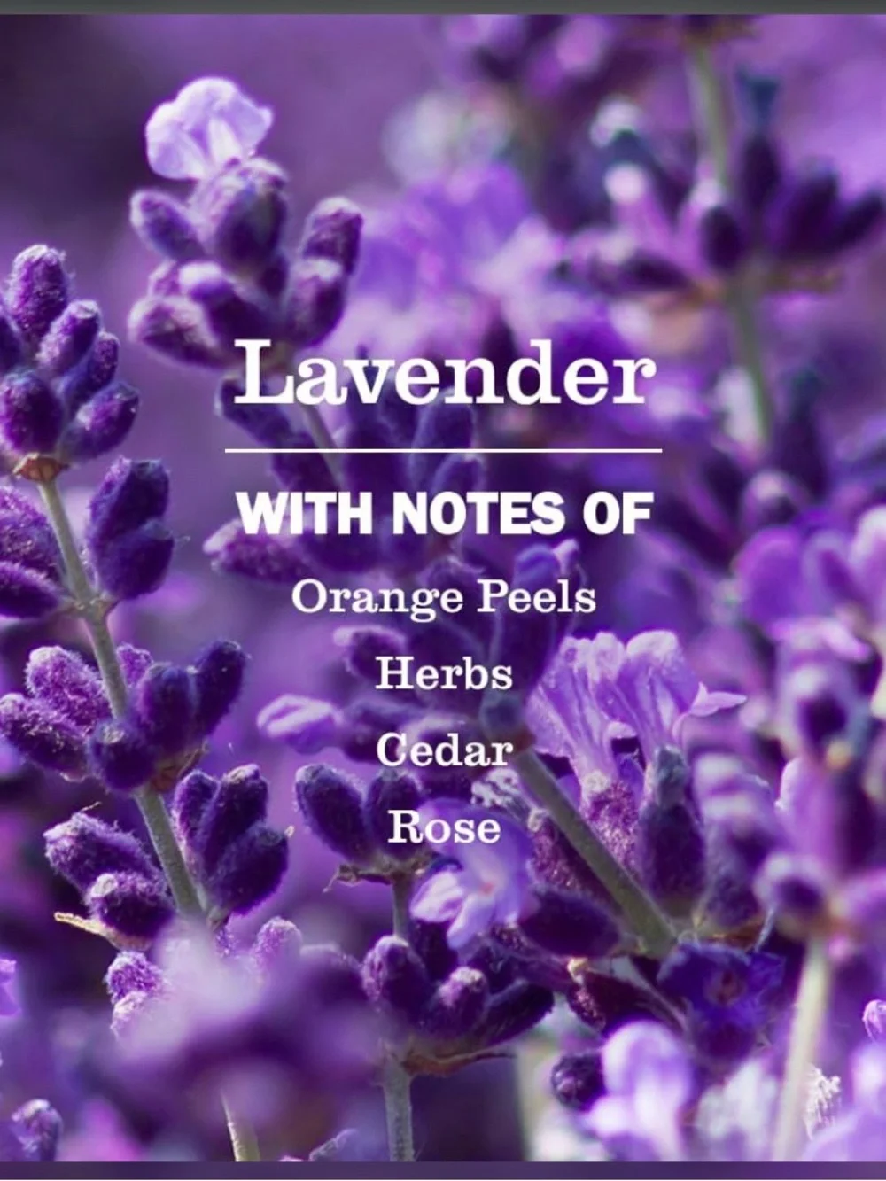EO Hand Soap Refill in Calming French Lavender, 32 Fl Oz