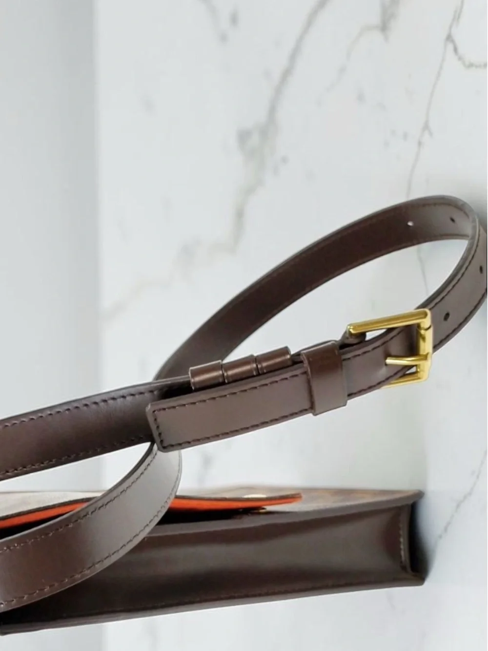 Louis Vuitton brand louis