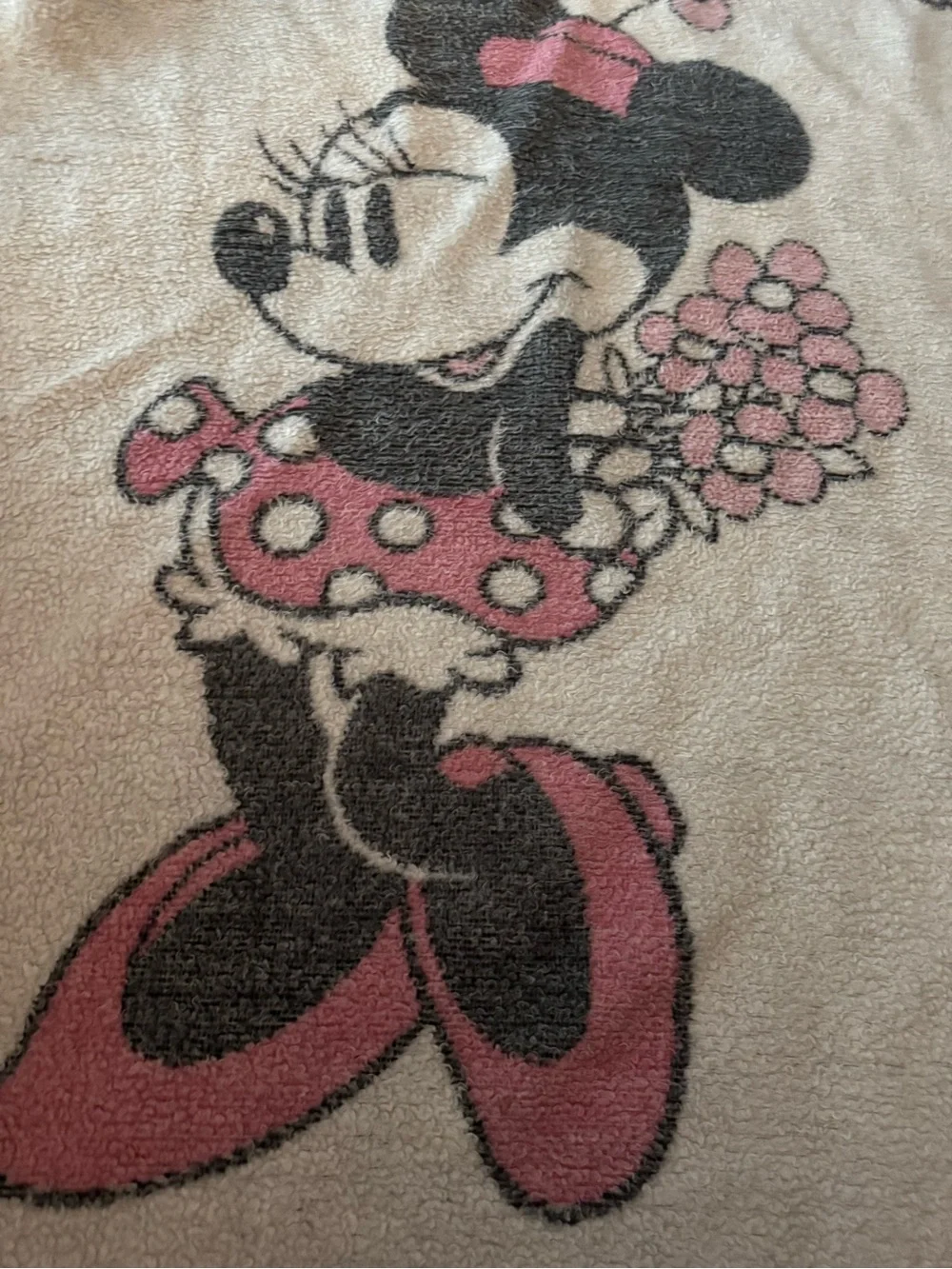 Disney excellent biederlack
