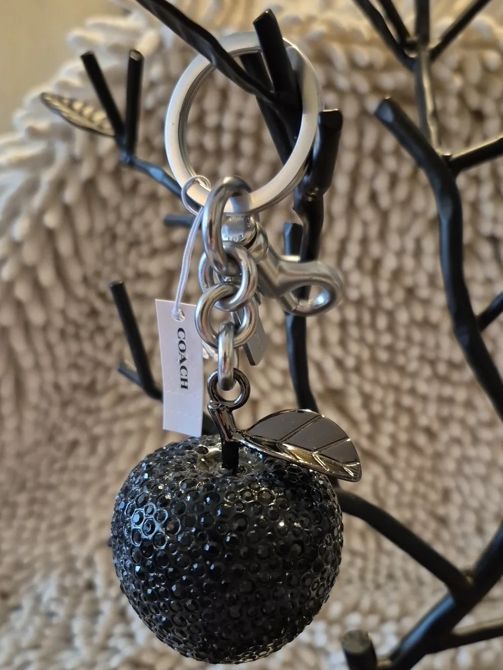 Coach nwt crystal