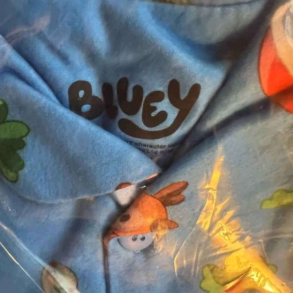 Disney adorable bluey