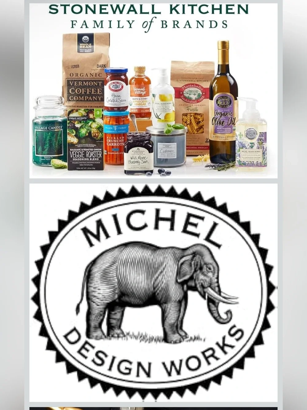Michel Design Works Sea Salt & Sand Foaming Shea Butter Hand Soap - 16.9fl oz