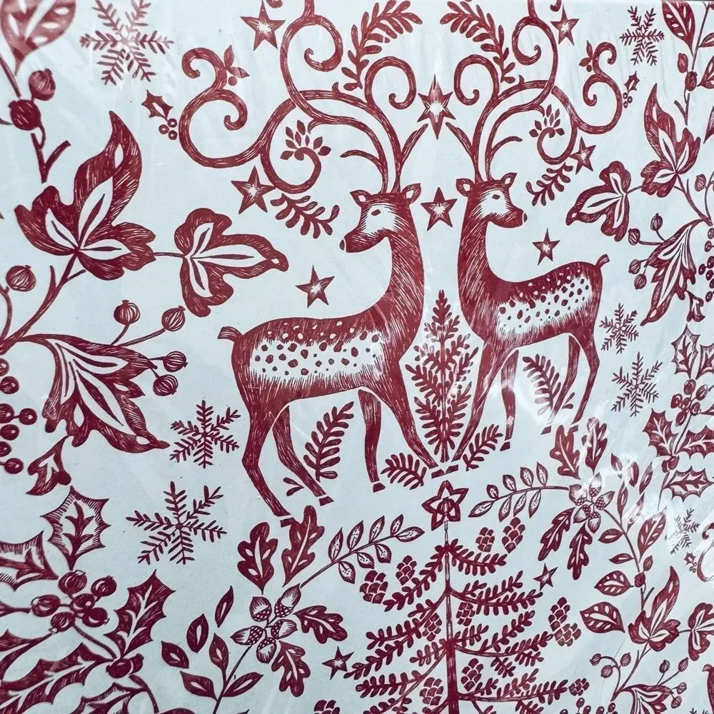 Rachel Ashwell Farmhouse Reindeer Holly Christmas Holiday Gift Shirt Boxes Set