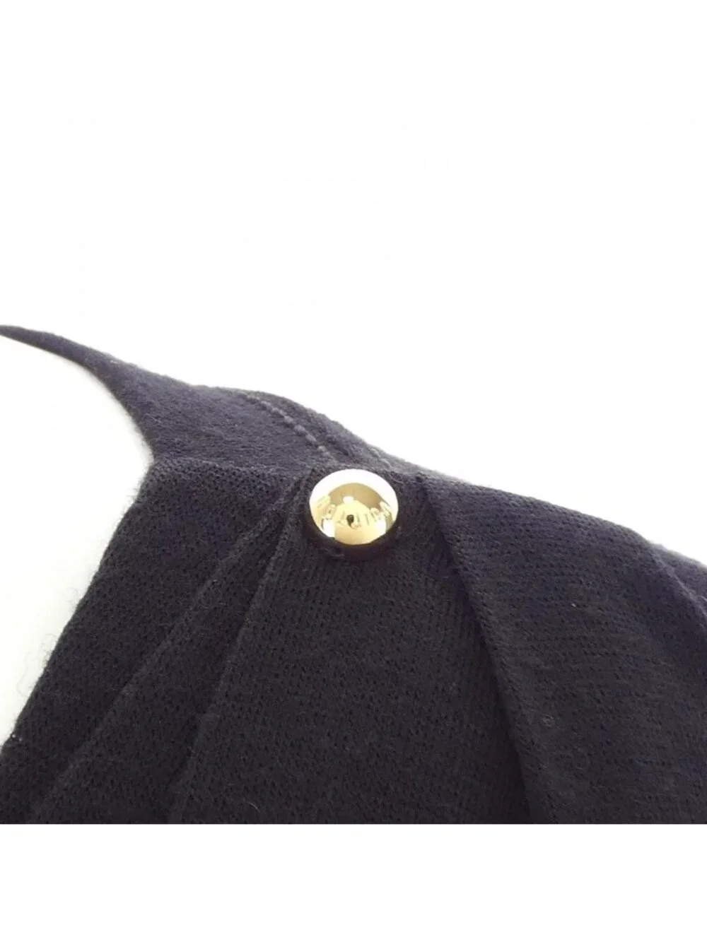 Louis Vuitton brand louis
