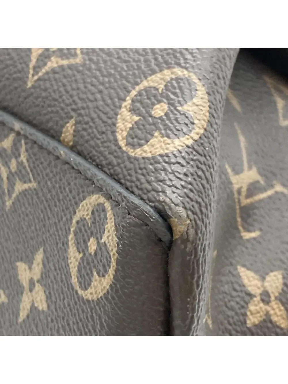 Louis Vuitton Rivoli Handbag Canvas Mm #334259L11B