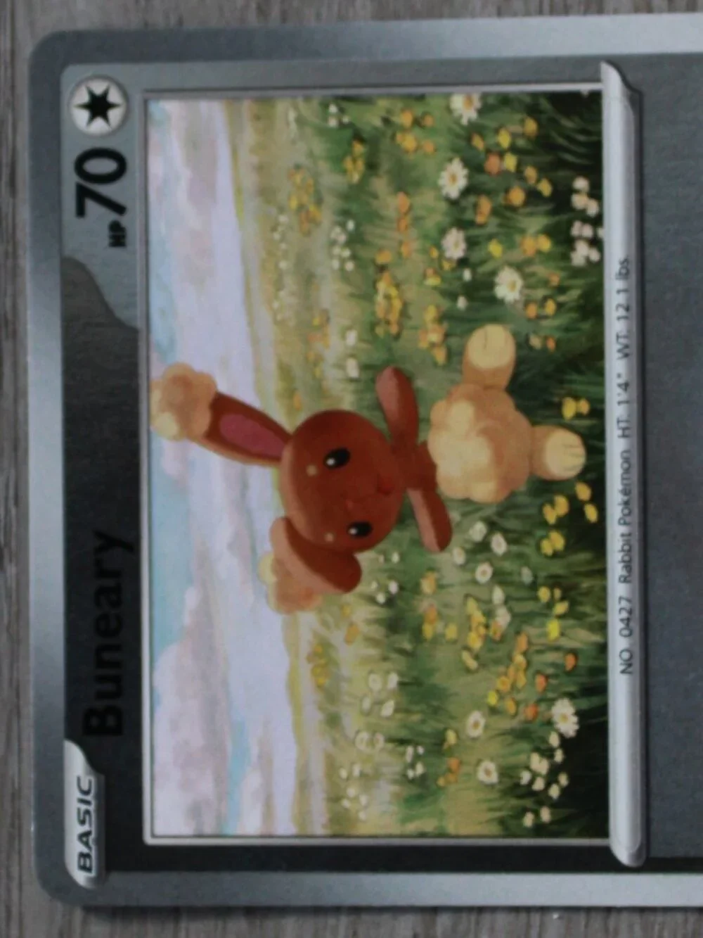 Pokemon silver multi