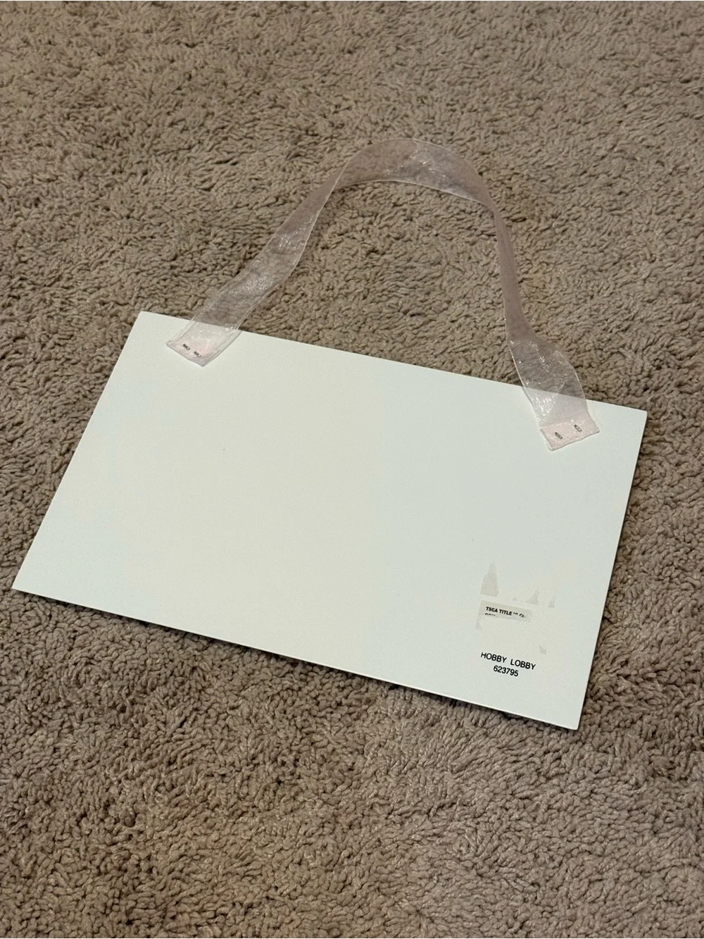 No boys alllwed door hanger