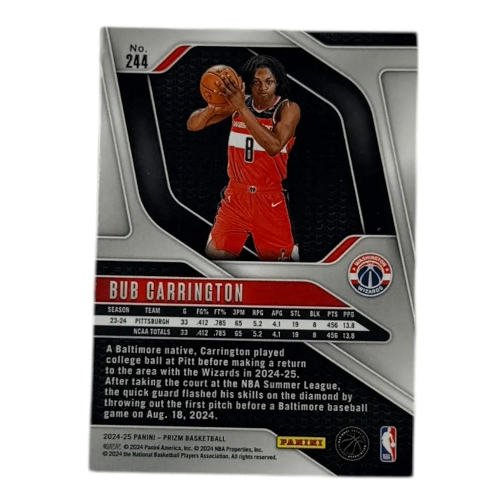 Panini brand series